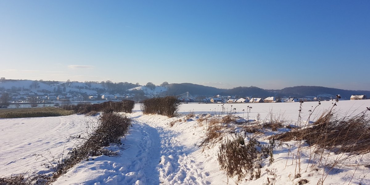 We zijn nu deel van het BeGreen Consortium