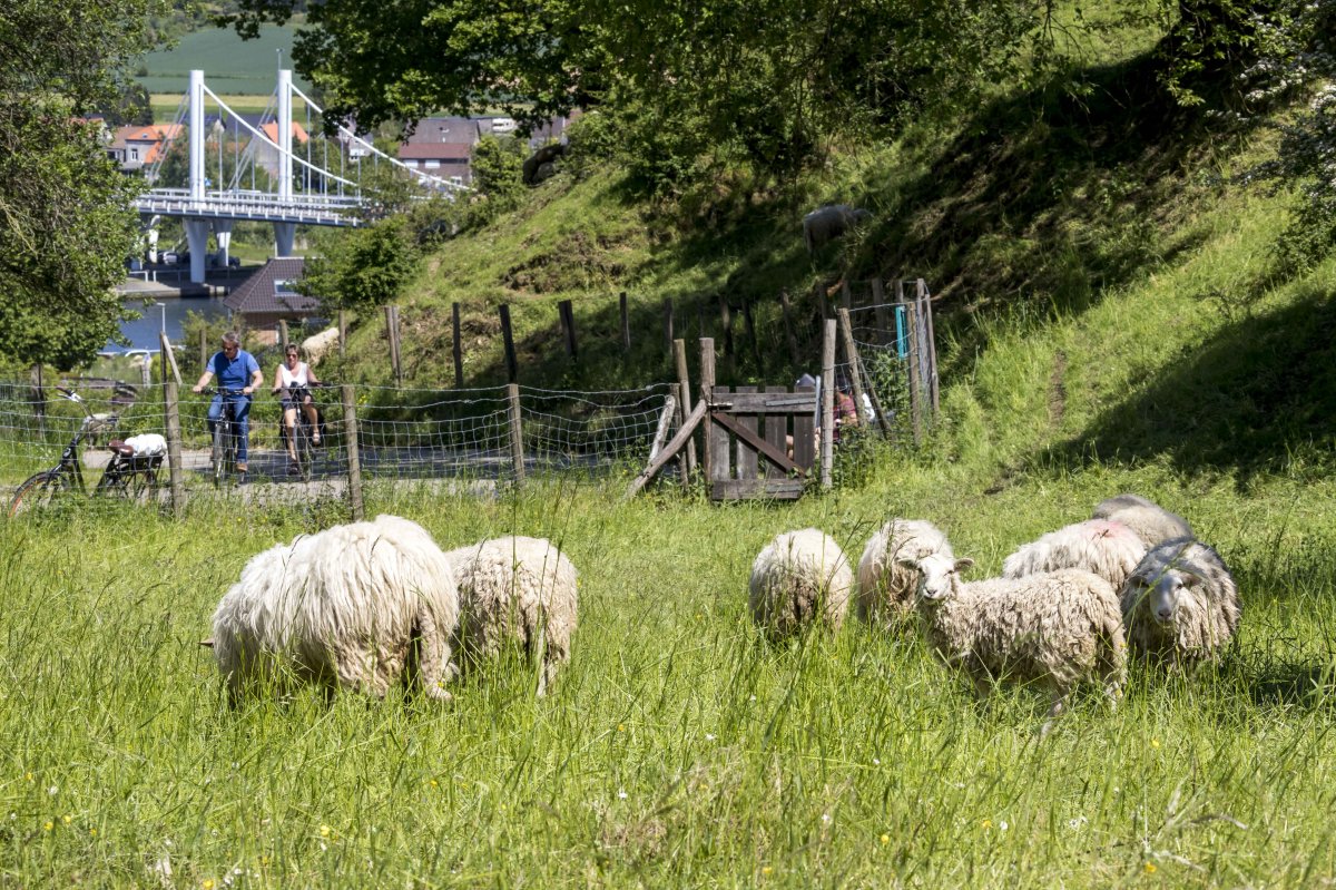 Onze eerste ledenbijeenkomst